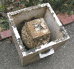 index020005.jpg