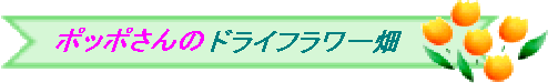 poppo_logo.gif (5443 oCg)