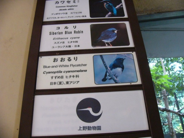 上野動物園