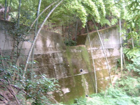 G-11.Q̉