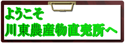 悤 쓌_Y 