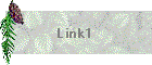 Link1