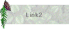Link2