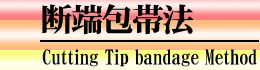 断端包帯法
