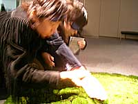 苔の作品