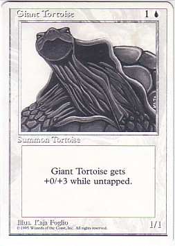 Arm (Giant Tortoise)