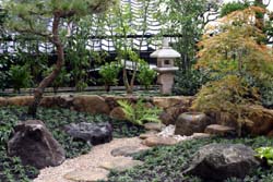 庭の様子