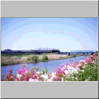 slflow97.5.jpg