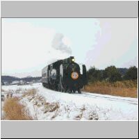 slsnow010108.jpg
