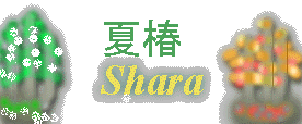 夏椿