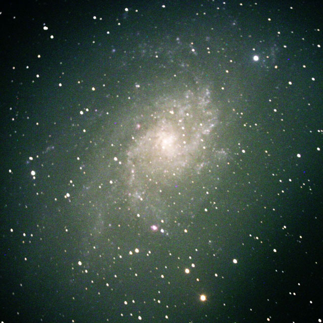 M33