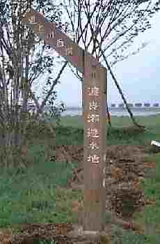 nǐW